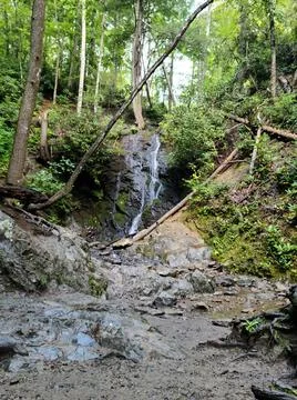 Mountain Stream Stock Photos