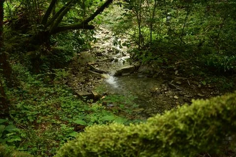 Mountain stream Stock Photos