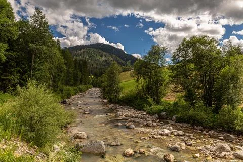 Mountain stream 스톡 사진