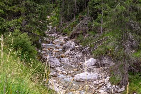 Mountain stream Stock Photos