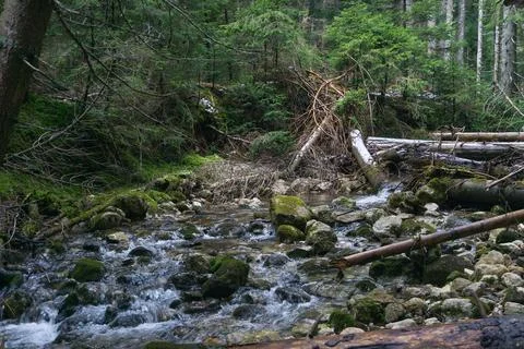 Mountain stream Stock Photos