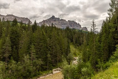 Mountain stream Stock Photos