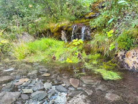 Mountain stream Stock Photos