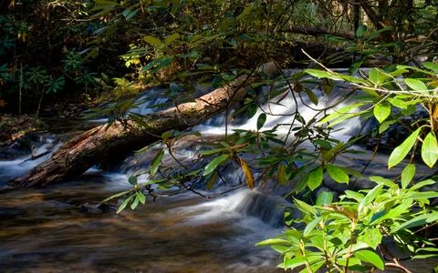 Mountain stream 写真素材