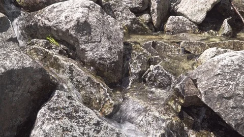 Mountain stream in the Polish Tatras Stock Footage 113219887