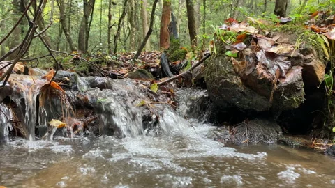 Mountain stream pouring of rocks Stock Footage 163906056