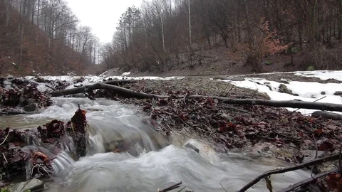 Mountain stream quickly into the winter frozen forest Stock Footage 83395705