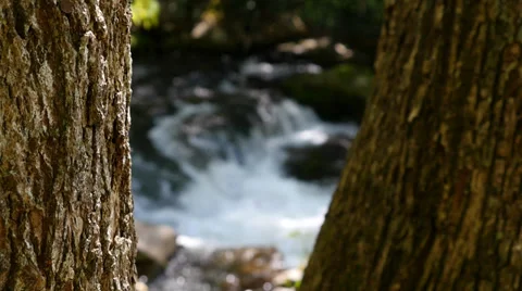 Mountain Stream Rack Focus Stock Footage 38604014