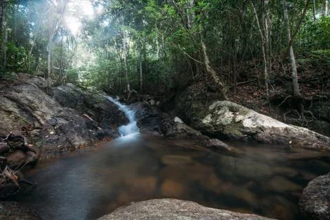 Mountain stream in the rainforest. Stock Photos
