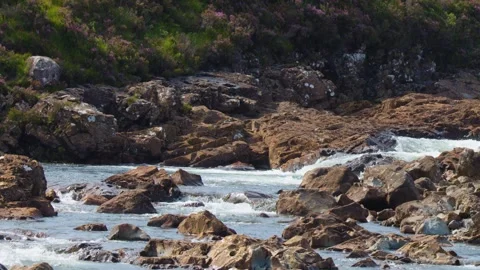 Mountain Stream Rapids Flowing Over Rocky Riverbed in Scotland Stock-Footage 320090798