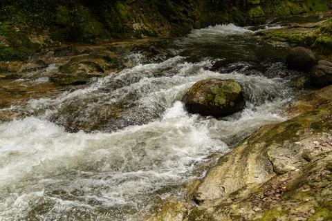 Mountain Stream Rapids Flowing Over Mossy Boulders Foto stock