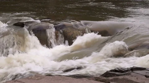 Mountain Stream with Rapids Stock Footage 48490638
