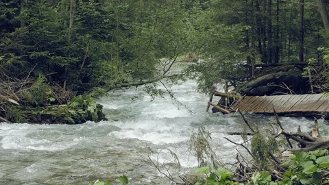 Mountain stream with rapids. Misty mysterious brook Stock Footage 97987177