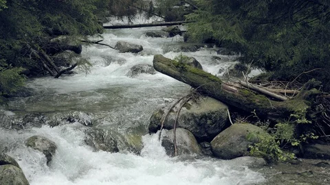 Mountain stream with rapids. Misty mysterious brook Vidéo 97987327