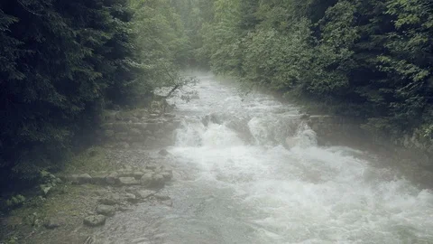 Mountain stream with rapids. Misty mysterious brook Vidéo 101172193