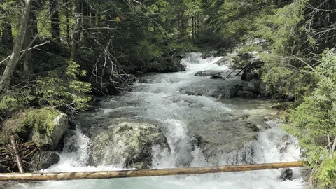 Mountain stream with rapids. Misty mysterious brook Vidéo 101172784