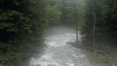 Mountain stream with rapids. Misty mysterious brook Vidéo 102035554