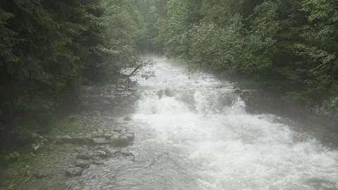 Mountain stream with rapids. Misty mysterious brook Vidéo 102309102