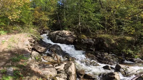 A mountain stream rapids in slow motion Stock Footage 306295720