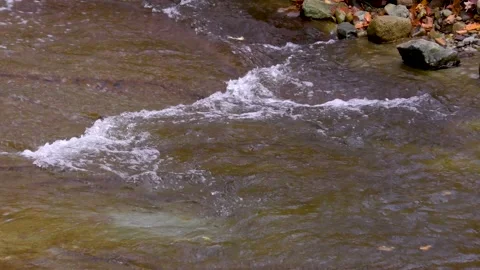 Mountain stream with ripples in autumn Stock Footage 145176257