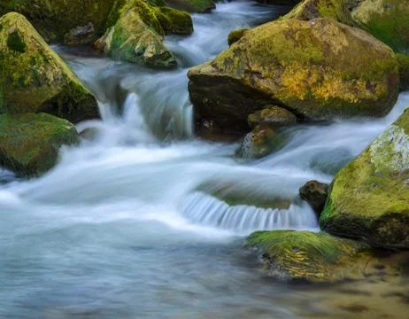 Mountain stream river Stock Photos