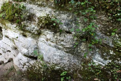 Mountain stream river Stock Photos