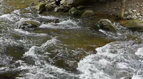Mountain stream river with rapids Stock Footage 56264843