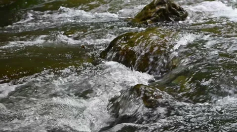 Mountain stream river with rapids Stock Footage 56264870