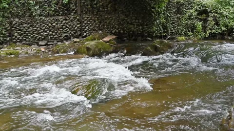 Mountain stream river with rapids Stock Footage 56264968