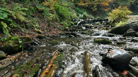Mountain stream river with rapids Stock Footage 56351689
