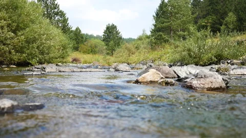 Mountain stream, river in the woods Stock Footage 149437469