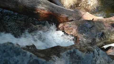 A mountain stream with rocks and old wood (slow motion) Video stock 219645769