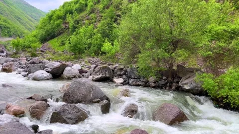 Mountain stream with rocks and trees in lush green valley Stock Footage 310246356