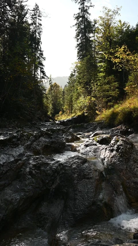 A mountain stream with rocks in an autumn forest, vertical shot Stock-Footage 260926363