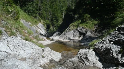A mountain stream with rocks in a forest in summer Stock-Footage 219651101