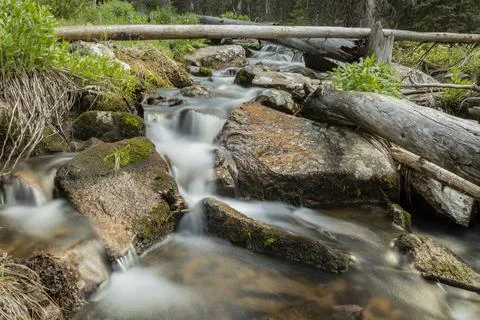 Mountain stream with rocks Stock Photos