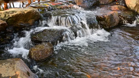 Mountain Stream in the Rocky Area Video stock 330686874