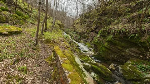 Mountain Stream in Rocky Cleft 4K - Hidden Canyon Water Flow Nature Background Vidéo 332171832
