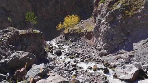 Mountain Stream in a Rocky Gorge of the North Caucasus Stock Footage 320854148