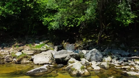 Mountain Stream Rocky Riverbed Lush Forest Switzerland Nature 4K Stock Footage 243009055