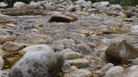 Mountain stream with round pebbles, South Africa 스톡 동영상 267422566