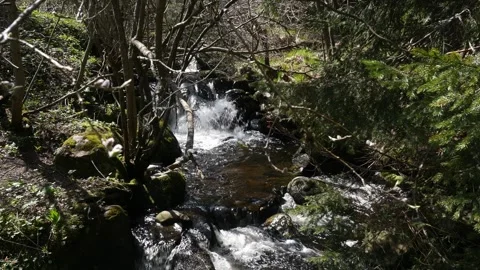A mountain stream running among rounded boulders Stock Footage 263142130