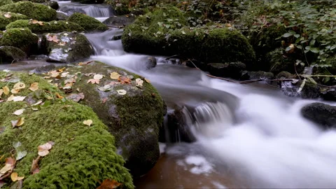 Mountain Stream Running Down In The Autumn Stock Footage 143928070
