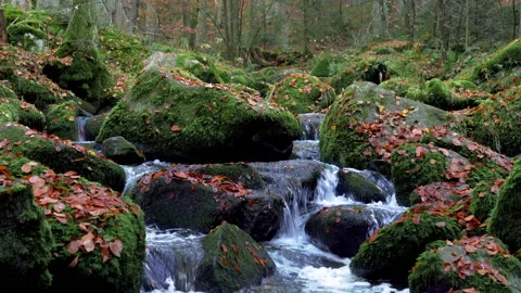 Mountain Stream Running Down Through Boulders Stock Footage 144056426