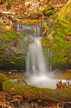 Mountain stream running over a log 스톡 사진