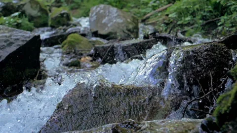 Mountain stream running over stones of a rocky mountain slope overgrown with Stock Footage 231920092