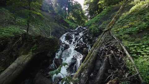 Mountain stream runs down slope through roots, fallen trees, stones. Cold creek Stock Footage 208879955