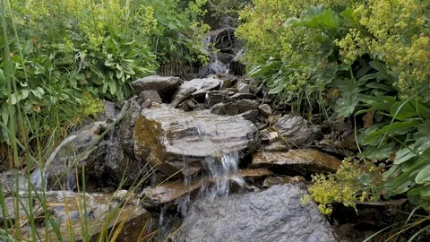 Mountain stream runs in the mountains of the Caucasus. Among green bushes. Stock Footage 94253053