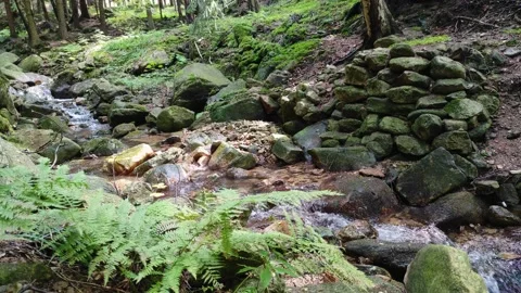 Mountain stream runs over stones in the forest. flowing river, green leaves,  Stock Footage 210426926