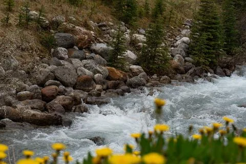 Mountain stream runs through rocks Stock Photos